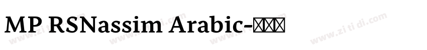 MP RSNassim Arabic字体转换 MP RSNassim Arabic字体转换